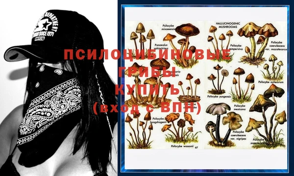 крисы Бугульма