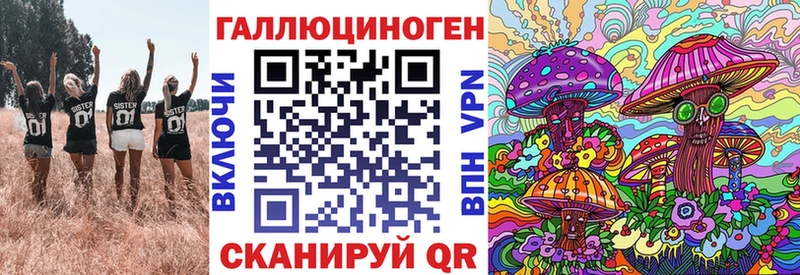 Псилоцибиновые грибы Psilocybine cubensis  Ишим 